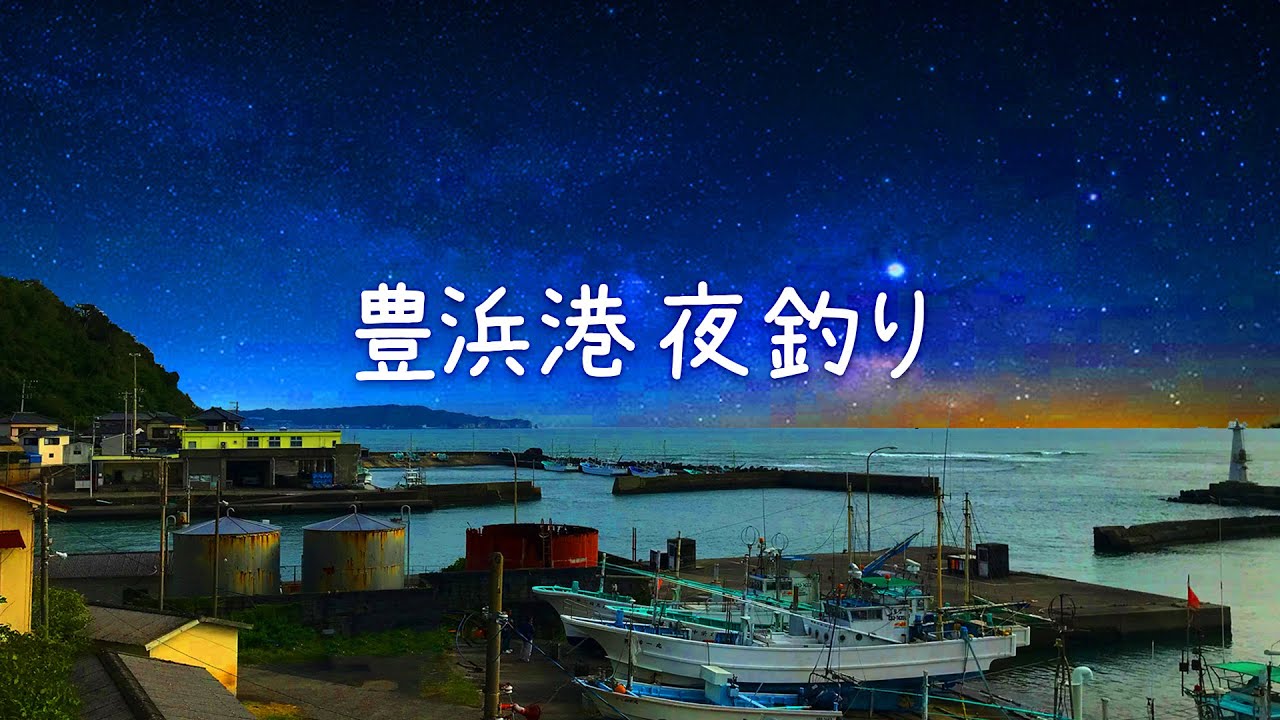 千葉県房総半島 勝浦 豊浜港 夜釣り サビキ釣り Youtube 千葉県房総半島 勝浦 豊浜港 夜釣り サビキ釣り Youtube