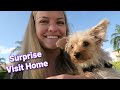 Going Home to Surprise My Family