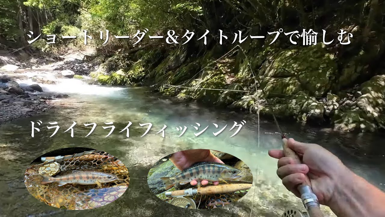 ショートリーダー&タイトループで愉しむドライフライフィッシング