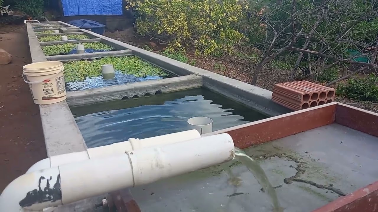 Peneira usar ou não. 