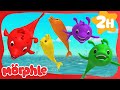 Morphle and the Rainbow Dolphins Flip Out! | Morphle Cartoons | Preschool Learning