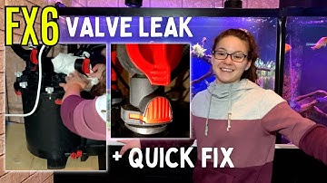 QUICK Fix to the Fluval FX6 Valve Leak