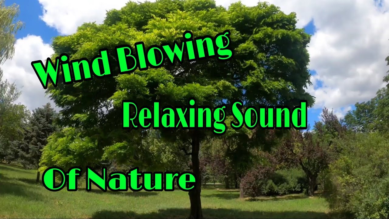 A Relaxing Sound / Wind Blowing / Wonderful Nature / Ayashane TV