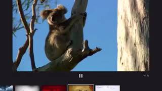 iOS Swashbuckler Trailer Template: Tales from Down Under
iOS Swashbuckler Trailer Template: Tales from Down Under iOS Swashbuckler Trailer Template: Tales from Down Under