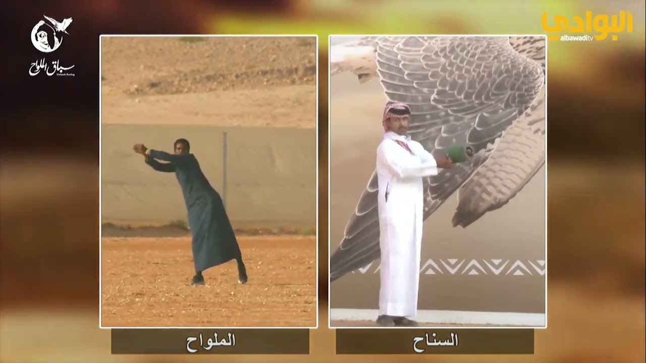 سباق الملواح | اليوم السادس | نادي الصقور السعودي 18-11-2023