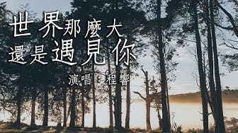 【動態歌詞】世界這麼大還是遇見你(清新的小女孩（中文版）)—程響『世界這麼大還是遇見你 多少次瘋狂多少天真』
