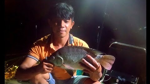 1ngày câu cá hô núi le đung toàn hàng khủng