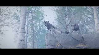 Crimson Desert – Black Fang & Silver Fang Legendary Hunts (Why Do All Bosses Teleport 😭)