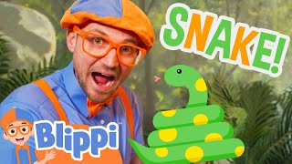 blippi meets a silly snake blippi educational videos for kids