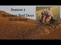 S.2 | Summer Red Deer Meat Hunt