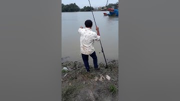 Câu cá tra sông Cần Giuộc - QL50 Bình Chánh , Tp Hồ Chí Minh