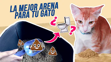 ¿Por qué utilizar arena no aglomerante?