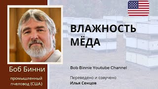 Влажность мёда: проблема и ее решение (Боб Бинни, США)