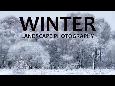 WINTER - Landscape