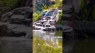 Beautiful waterfall ⛲️ at Bengaluru Airport #waterfall #shorts #reels #ytshorts #bollywood #travel
