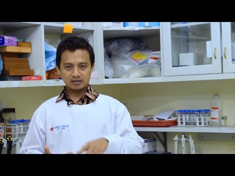 Video: Salin Variasi Nombor Dalam Kawasan Genom Calon Mengesahkan Heterogen Genetik Dan Berat Sebelah Ibu Dalam Penyakit Hirschsprung