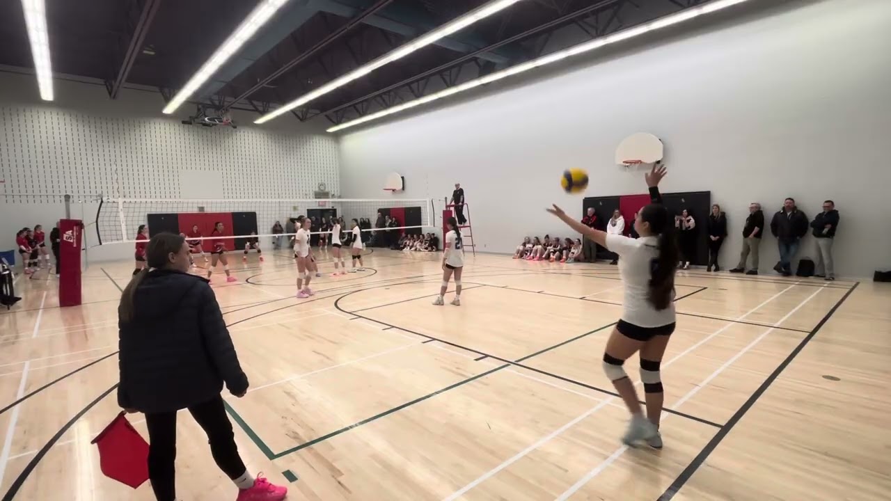 Titans Halo v Markham Revolution (set 2)