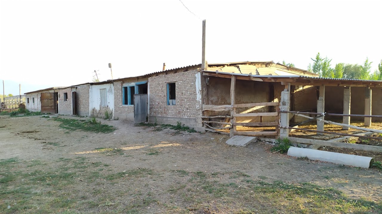 САРАЙ-КАШАР сатылат 👉 1,5 гектар жери, бедеси, бак-дарагы бар