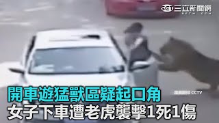 開車遊猛獸區疑起口角 女子下車遭老虎襲擊1死1傷｜三立新聞網SETN.com