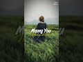 Mising You LOFI Mashup | Emotional |Chillout #mashup #mashup2026 #emotional #song #music