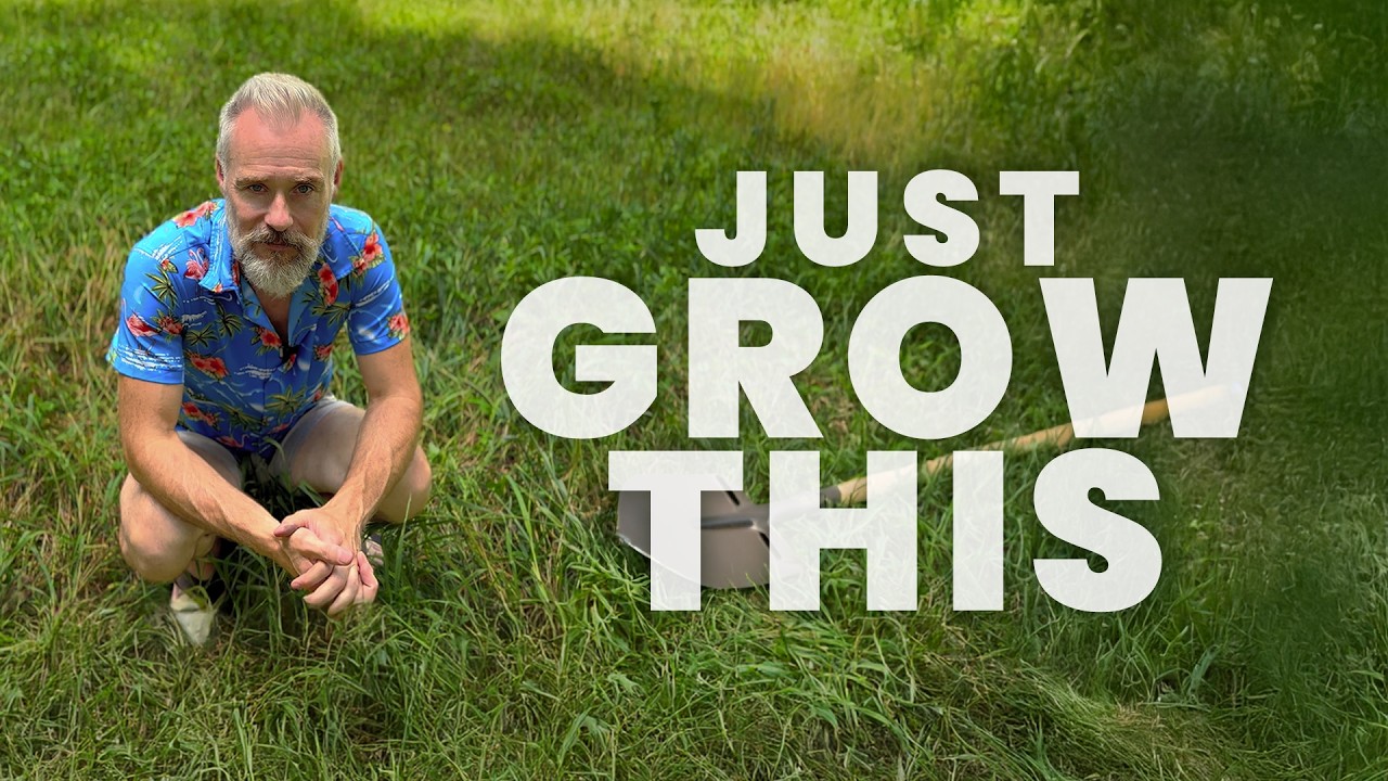 The Most Important Thing You Should Grow In Your Garden!