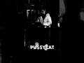 PU$$YCAT / HENN #henn #music #viralvideo #shorts #shortsfeed #newmusic