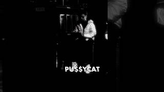 PU$$YCAT / HENN #henn #music #viralvideo #shorts #shortsfeed #newmusic