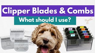 Dog Grooming Clipper Blades And Combs  What's The Difference? What Should I Use?