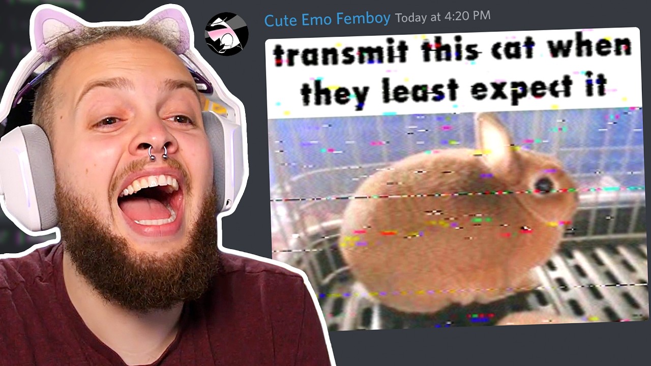 Memes That Make Me GET OUT!