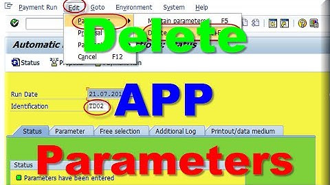 How to Delete APP Parameters in SAP