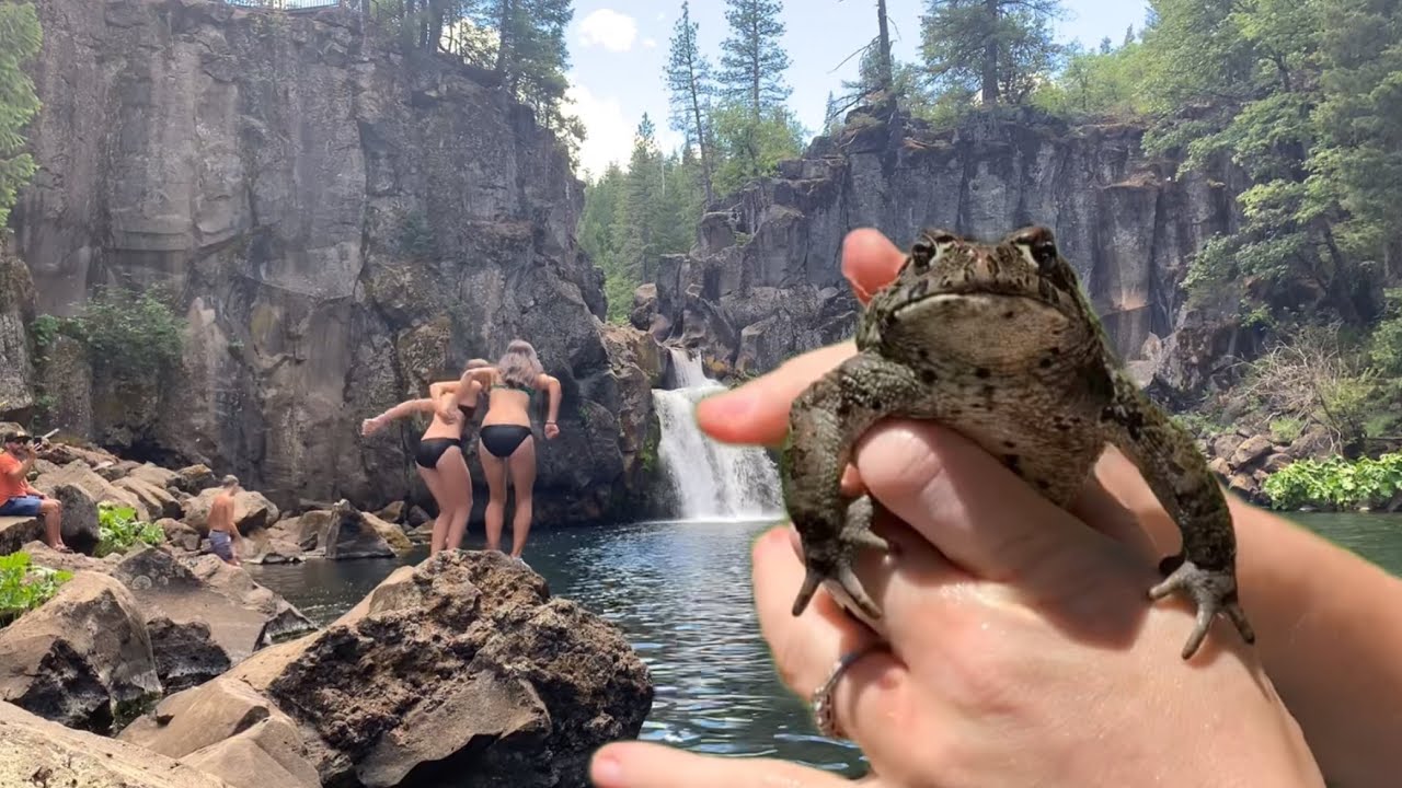 Waterfalls, toads, and jumping off cliffs! YouTube