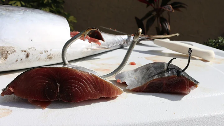 Choosing the Right Shark Hook! ( Tackle Tuesday #11)