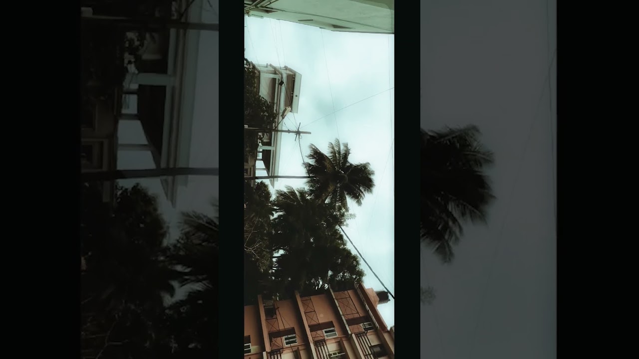 Random Street Cinematic Shots