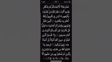 #سورة_آل_عمران #اكسبلور #قرآن #راحة_نفسية #تيك_توك #لايك #photography