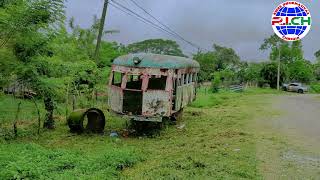 Tren De Dolega