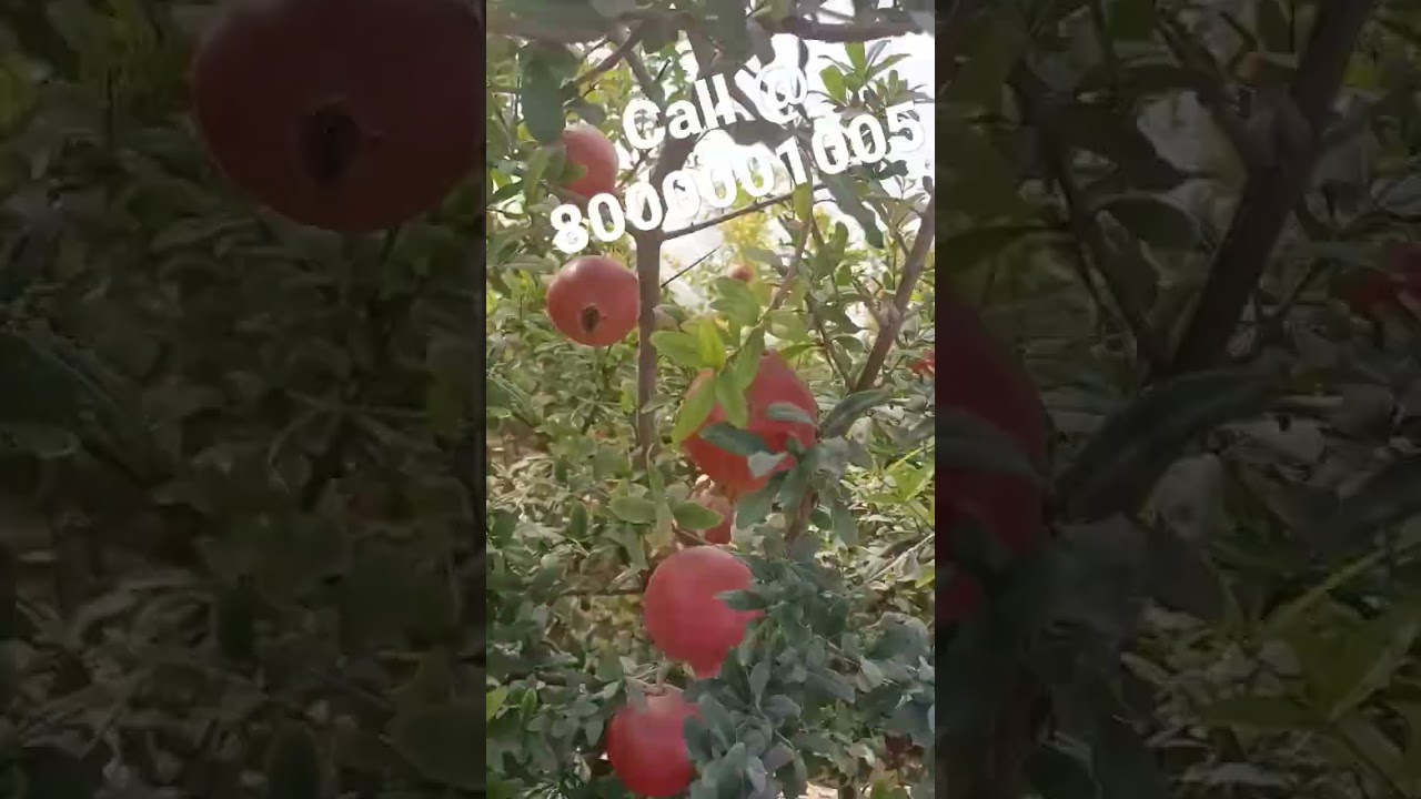 paidavar badhana hai to multiplier use karo, 