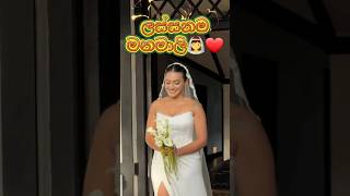 Most Beautiful Bride of 2026! 😍 Shanudrie Priyasad Official Wedding Look ✨ #shanudriepriyasad