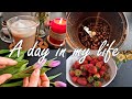 A day in my life ~ A cozy day at home ~ Simple living 🌷 Coffee, Groceries, Painting