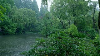 The beautiful little lake is raining(156) , sleep, relax, meditate, study, work, ASMR