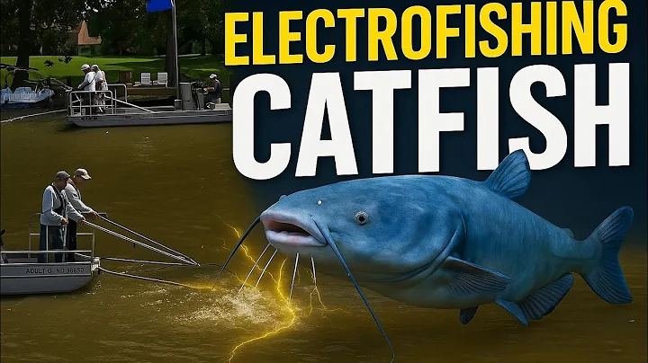 “Pulling Blue Crabs Out of Giant Blue Catfish Stomachs!”