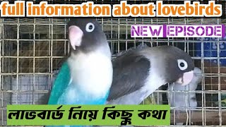 Lovebirds Basic Information//লাভ বার্ড সম্মন্ধে কিছু ধারণা// Full Information of Lovebirds।