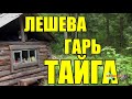 ВЫЖИВАНИЕ В ДИКОЙ ПРИРОДЕ  ТАЙГА