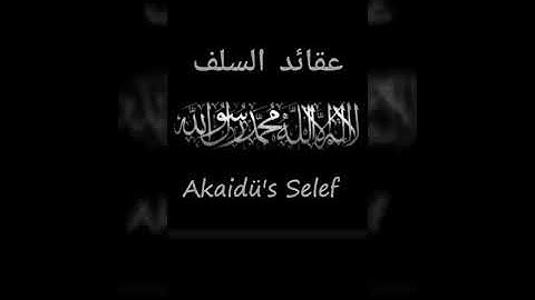 Tağutun muhakemesin de  savunma yapmak küfürdür....