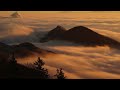 Z DEEP - Aisha