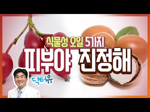 [닥터유의 건강이야기] 식물성 오일의 효능과 효과! 5가지를 알려드립니다~