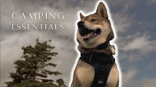 DOG CAMPING MUSTHAVES  ESSENTIALS you need