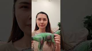 我只是想模仿而已 #funny #搞笑视频 #搞笑日常 #搞笑短片 #搞笑 #funnyreels #funnyreels #funnyshorts #funnyvideo