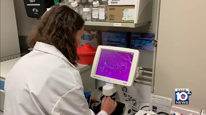 New study looks into mechanisms behind deadly brain cancer