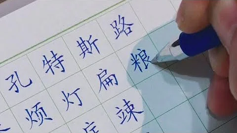 硬笔书法，规范字，圆珠笔书写效果 - 天天要闻