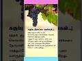 தீனம் ஒரு டிப்ஸ்/DAILY TIPS#kitchen#samayaltips #shorts#shortsfeed#food #viral#tamil#trending#reels